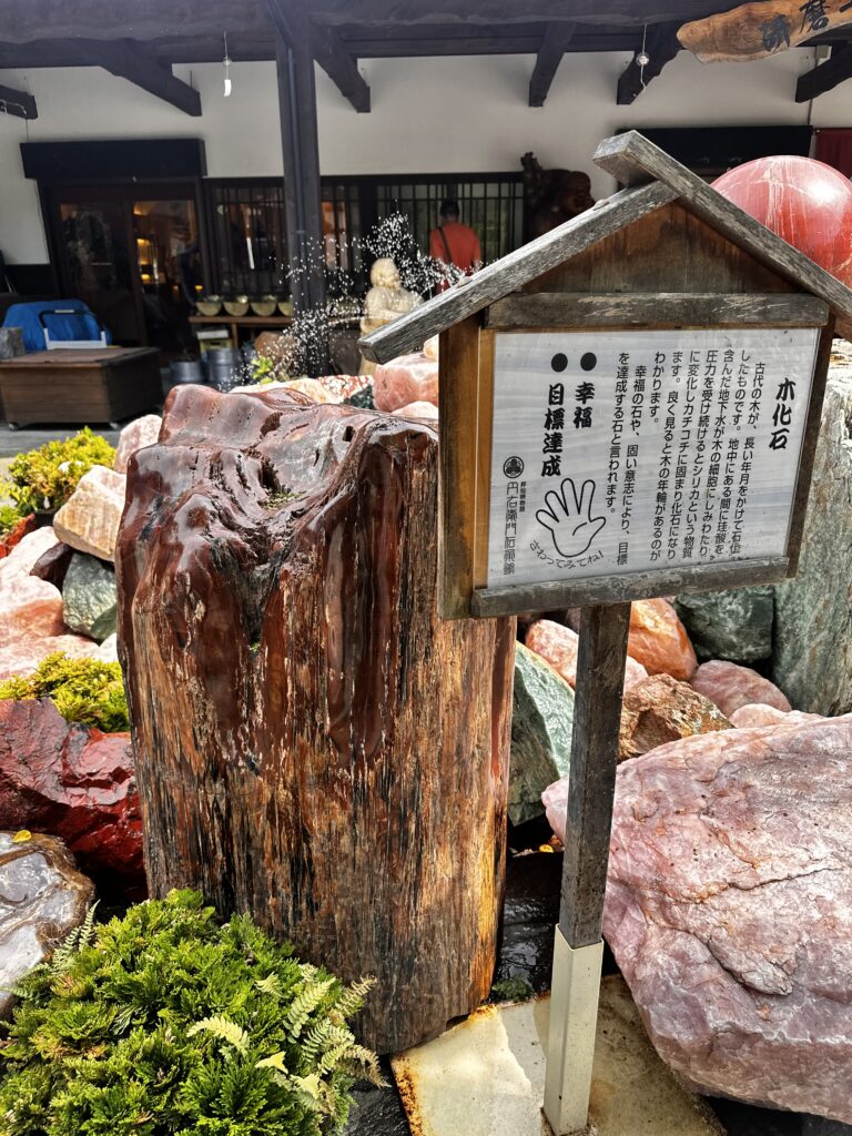 昇仙峡_木化石